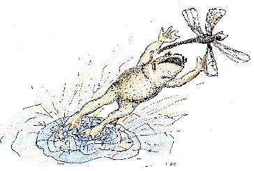 Figure 16. Picture representing the statement: ‘The frog jumps out of the water and tries to catch a dragonfly flying just above her.’ C. E. Bernardelli, 1997.